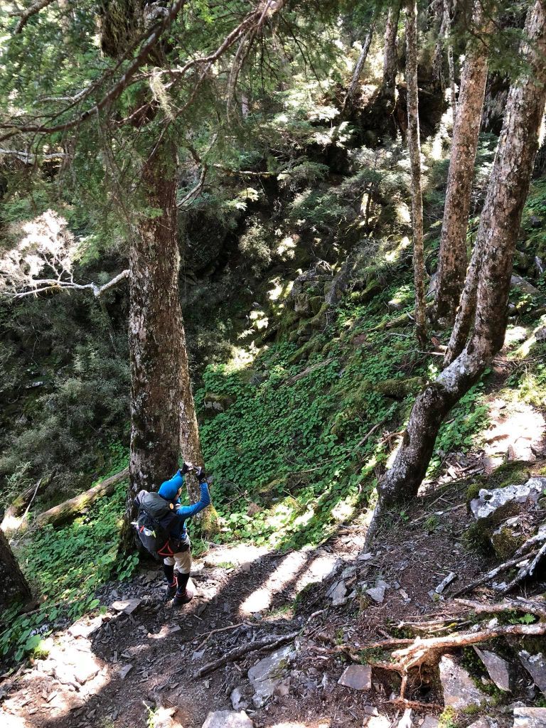兩天一夜武陵四秀（池有,品田,桃山）_376065