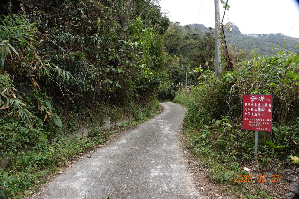 高雄 茂林 德德山_2051170