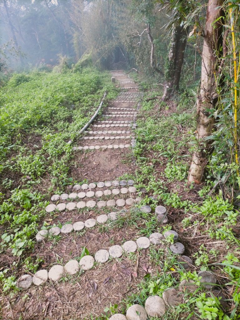 關刀山_2645291