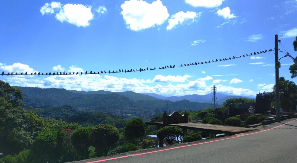 台北大縱走第六段_1491580