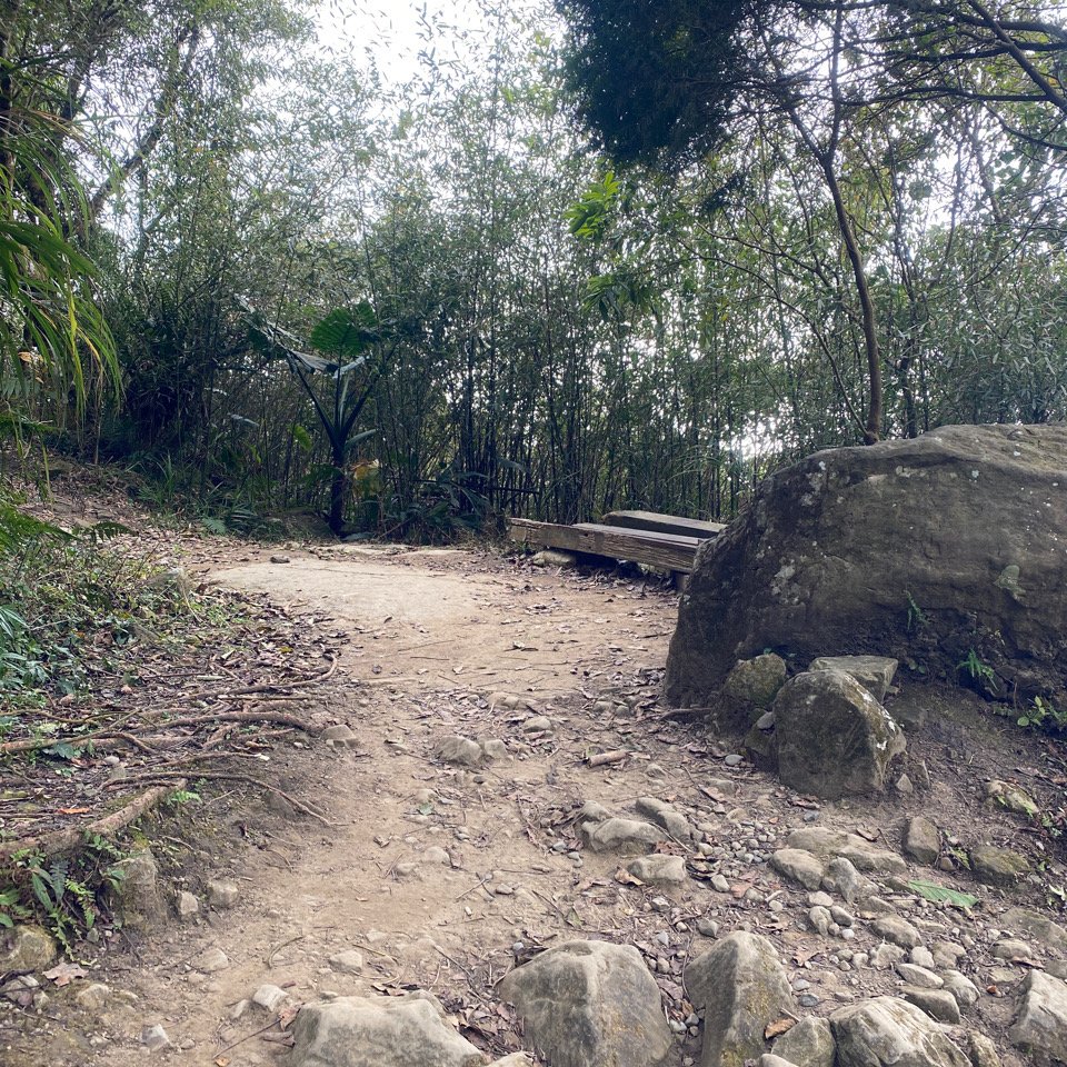 台南大凍山 1241M 小百岳#63_1270923
