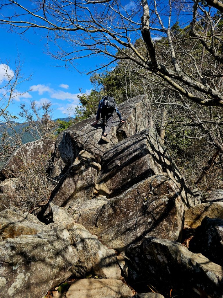 東卯山-谷關七雄(老五)_2991595