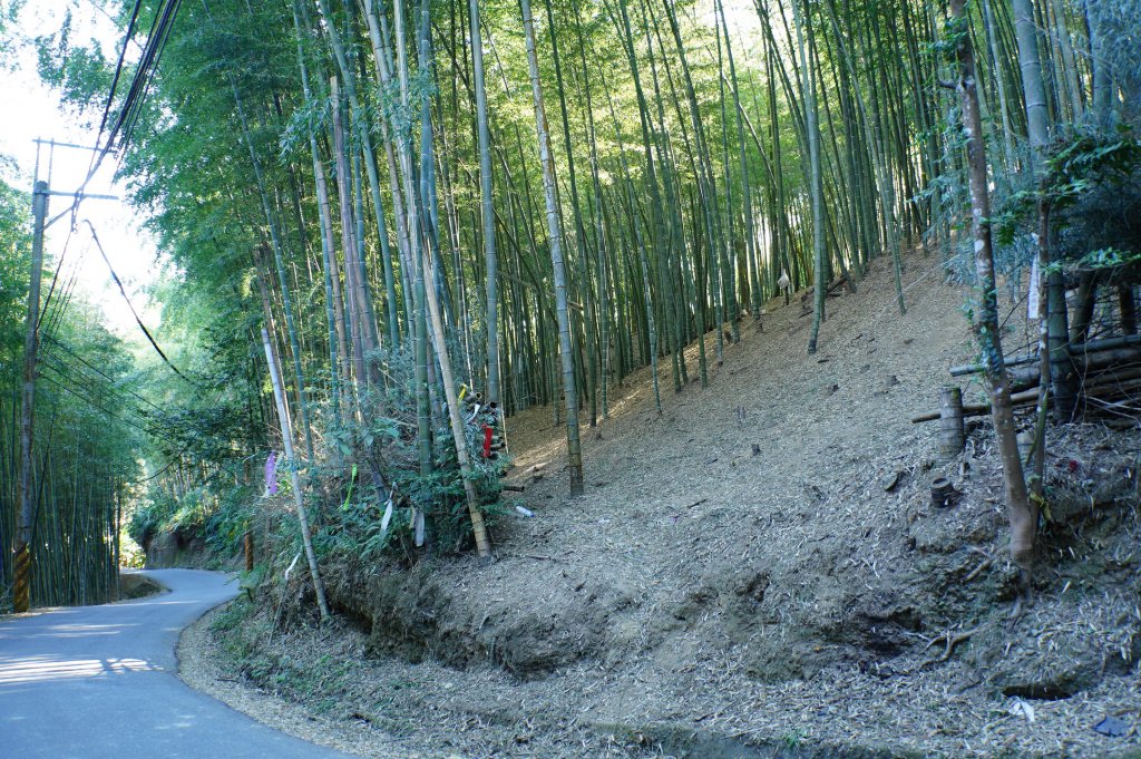 南投 鹿谷 龍鳳山、龍鳳峽山、三叉崙山、水桶寮山、內樹皮山、羊頭崙山、志騰山、竹崙山、溪頭山_2962276