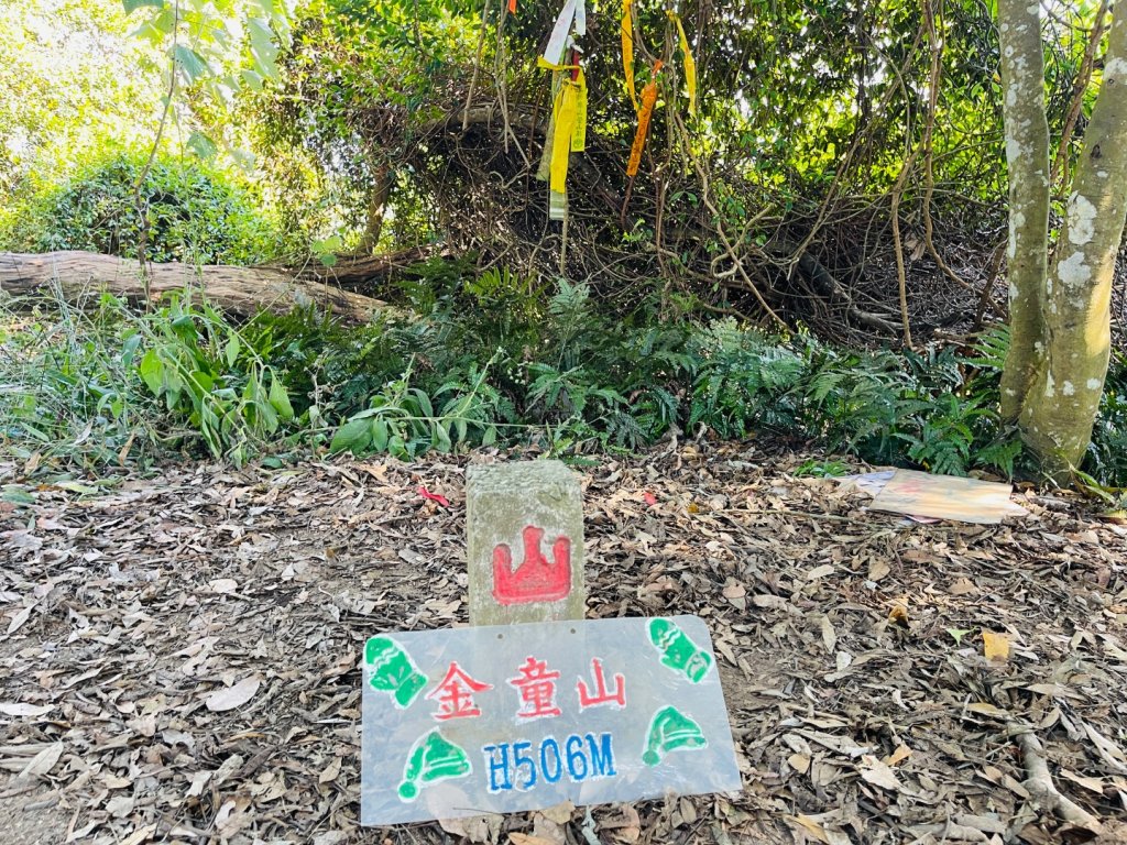 1141207金童山_2957719