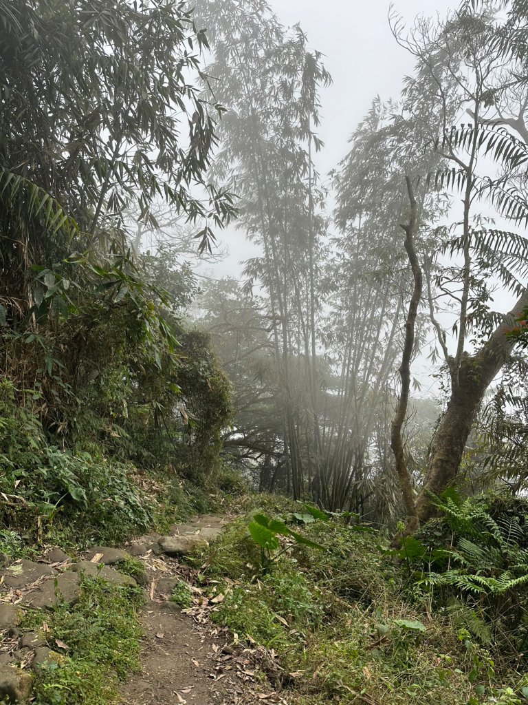 輕鬆行腳崁頭山_1990552