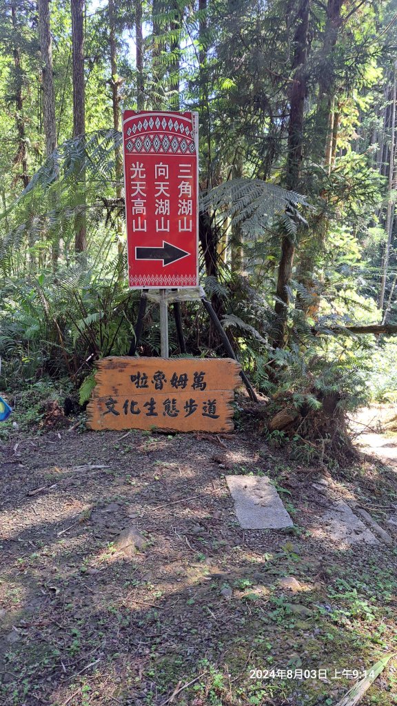 2024.8.3  (苗栗南庄)三角湖山+向天湖山_2573933
