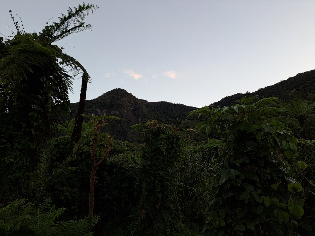 砂卡礑二日行D2：大同部落→千里眼山→砂卡礑步道→小錐麓步道→遊客中心20231203_2368672