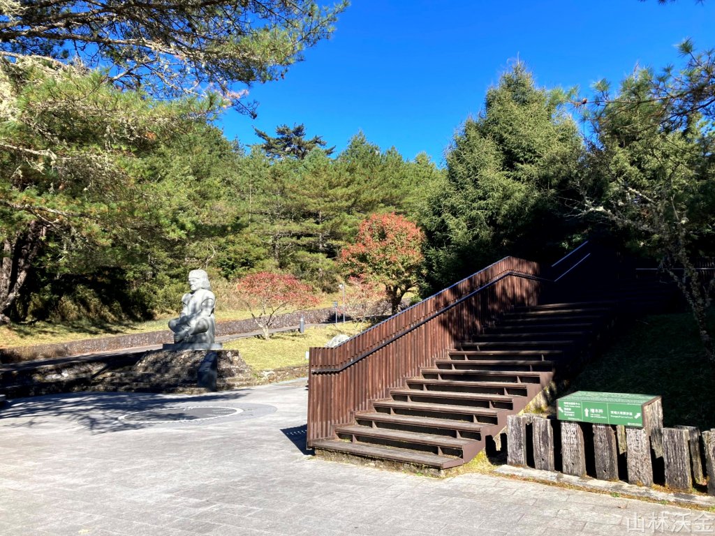 2023-11-26 東埔大草原步道_2363790
