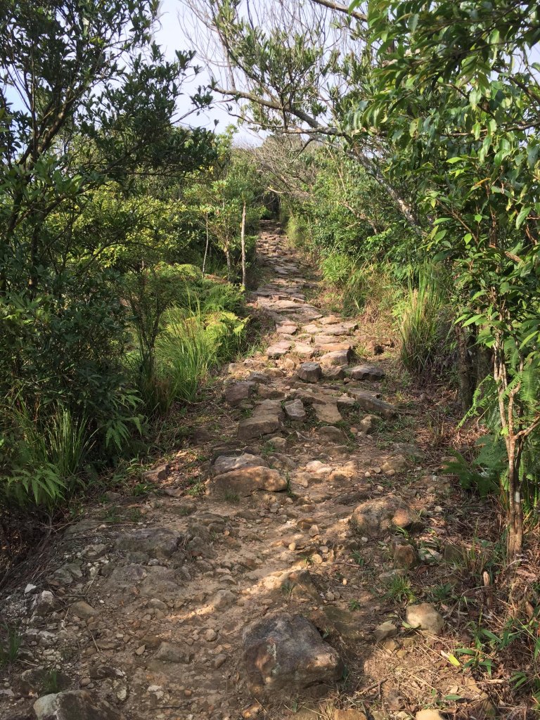 龍船岩步道_421454