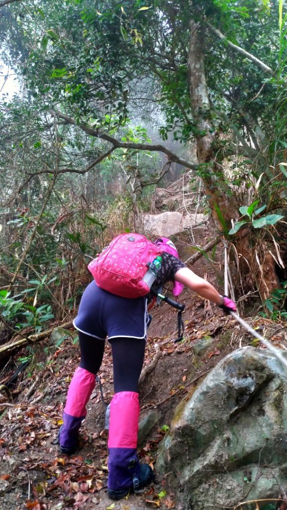 小百岳【三腳南山】_915753