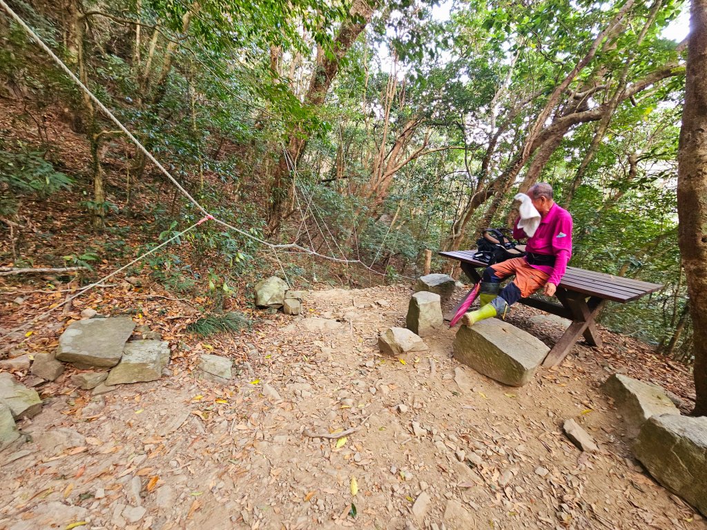 小百岳集起來-里龍山_2184738