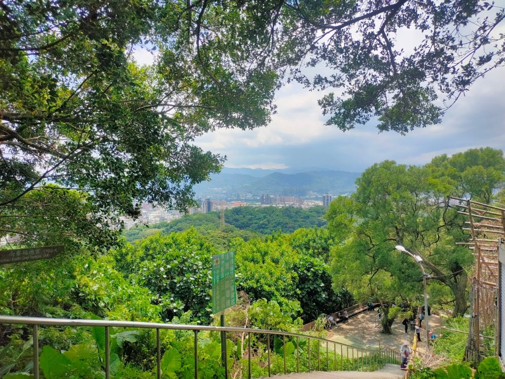 樹林［大棟山縱走］：大同山，青龍嶺，大棟山（2023/8/27）_2272270