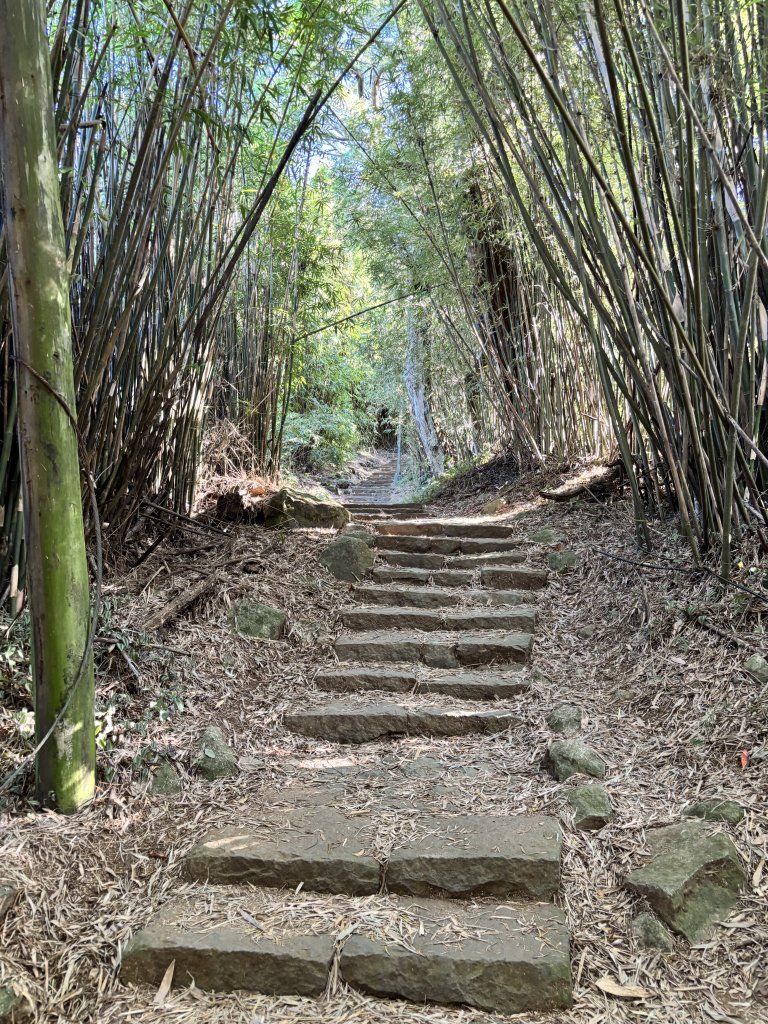 面天山、向天山、向天池_2921023
