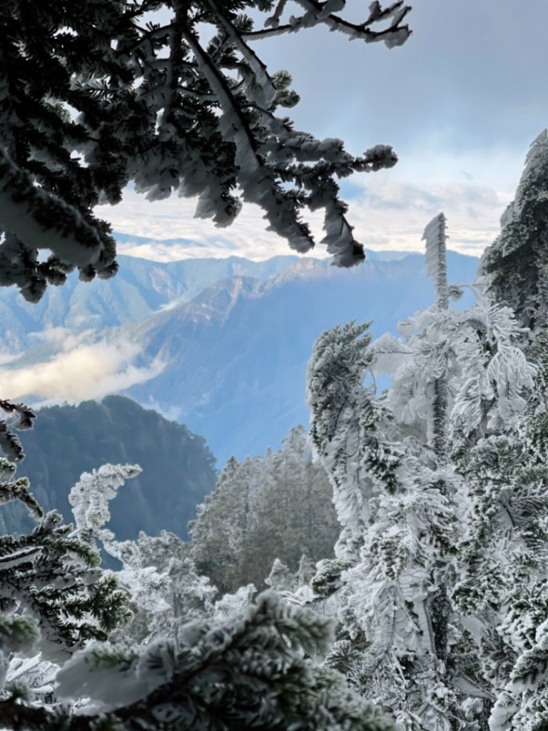 絕美銀白世界 玉山降下今年冬天「初雪」_1236097