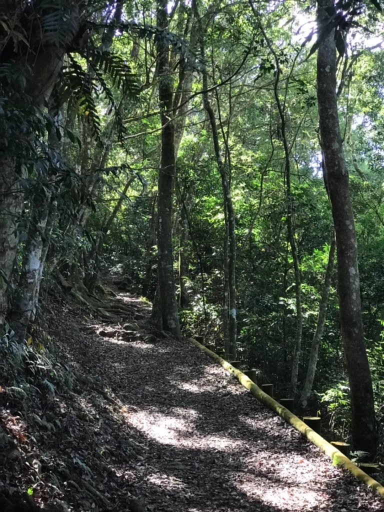 細道邦山 馬那邦山_464808