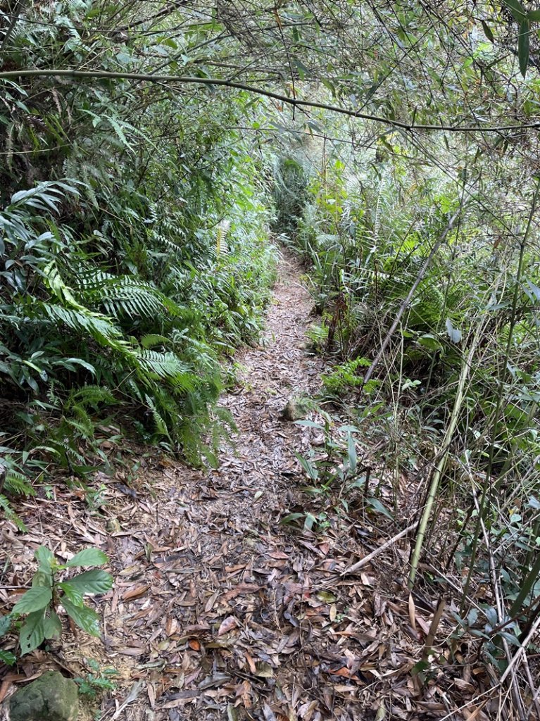 大湖翠湖金龍湖_2711901