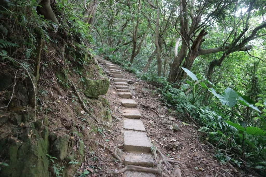 〔內湖〕文間山，劍南蝶園，劍潭古寺，婆婆橋 鄭成功廟步道_2249262