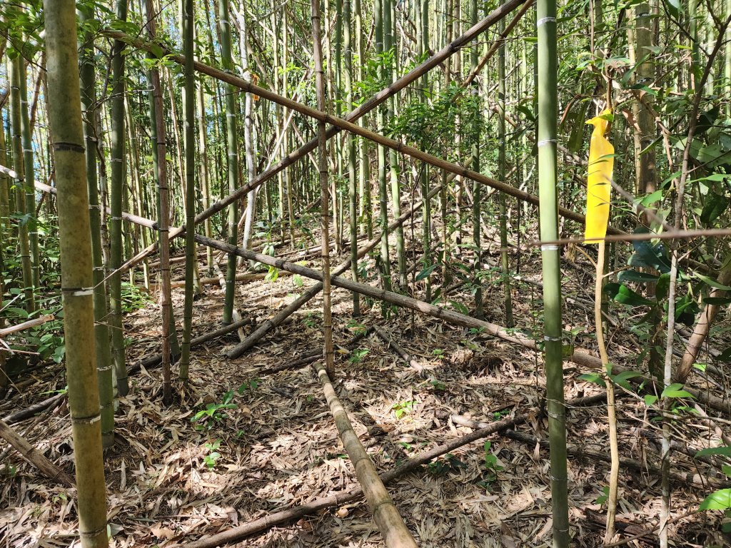 20231105拉號山嘎色鬧山榮華山_2375849