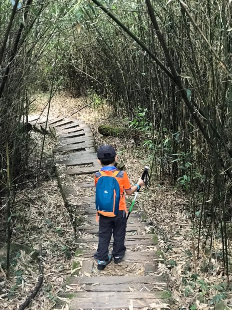 樟腦寮車站上獨立山奉天岩泡茶煮泡麵大巃頂看群峰美景_470013