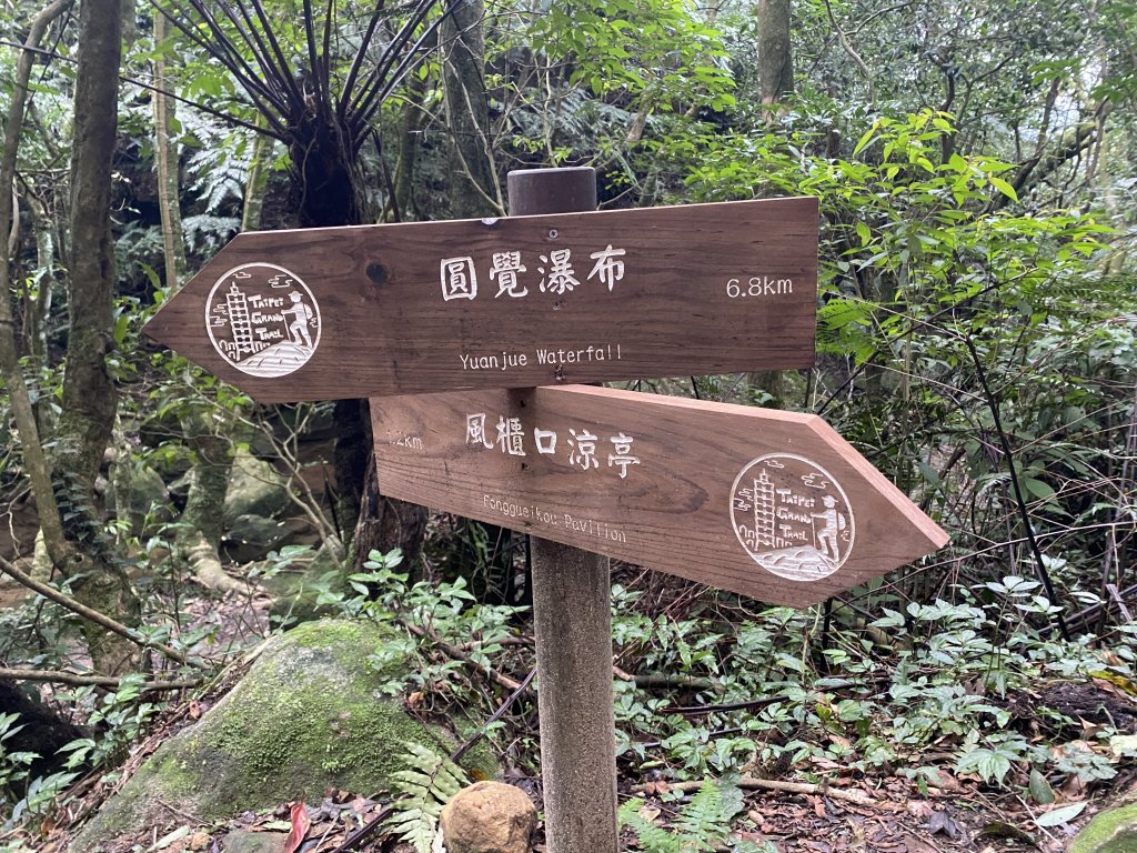 2021.12.31 臺北大縱走第四段_1636196