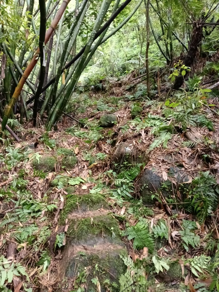 平溪區三功大厝+番子坑山+千階嶺步道O型_2781118