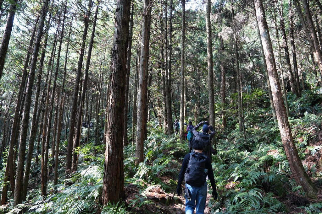 鵝公髻山X山上人家封面圖
