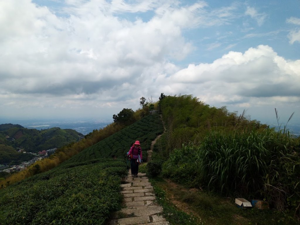 雲嘉五連峰+後棟仔山挑筍古道 望風斷崖_958057