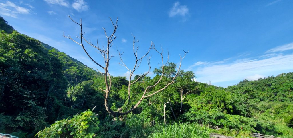 橫沙迪O型縱走_大雪山社區登山口_2826533