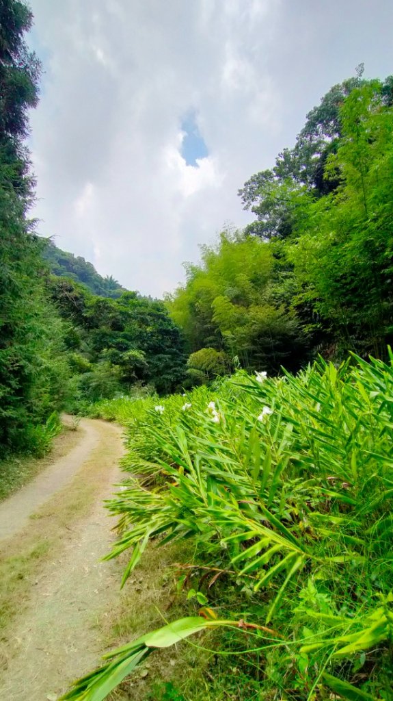 雲潭瀑布步道/青年嶺步道/燕子崖/蝙蝠洞/野薑花溪步道/綠色隧道 環狀_1779326