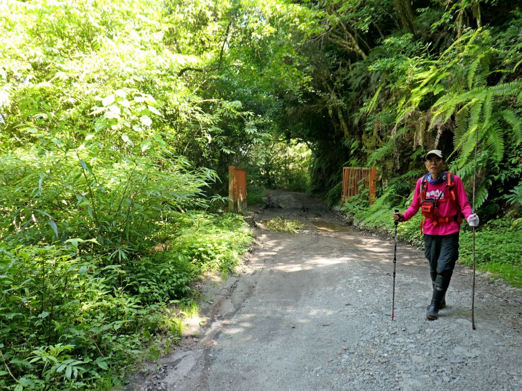 登碧綠神木旁焦土山及加碼綠水文山步道  _375972