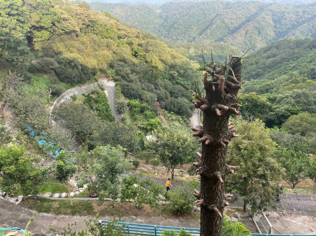 新竹｜芎林 飛鳳山_2160561