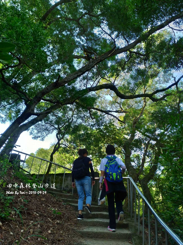 田中森林公園登山步道20180929_455533