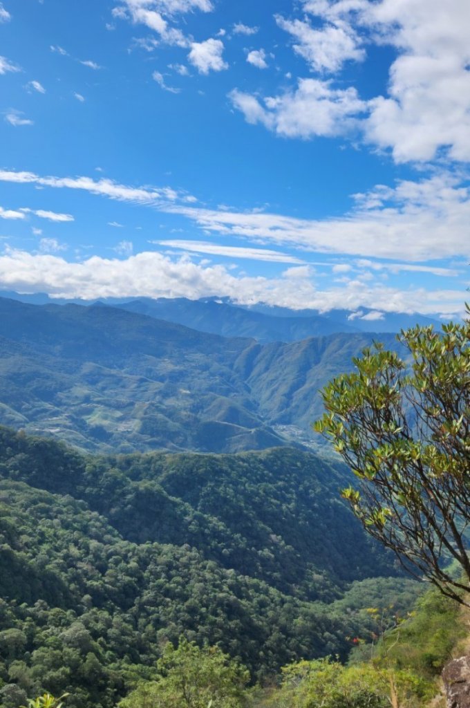 【中級山 】北得拉曼巨木步道，連走內鳥嘴山_2742204