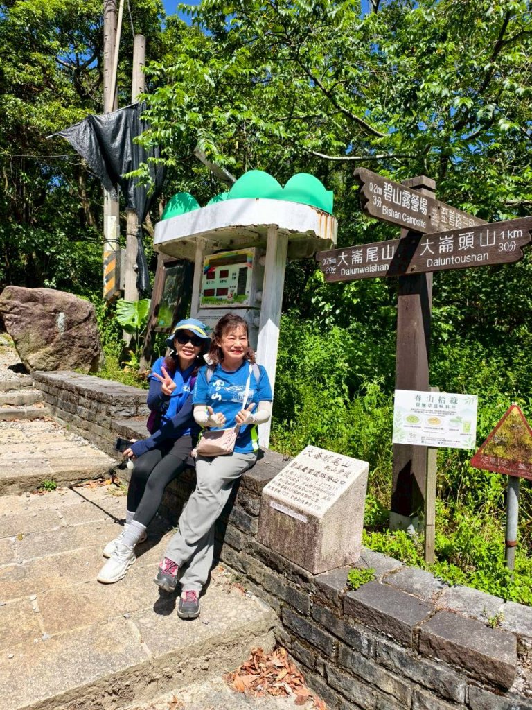 翠山步道、大崙頭尾山親山步道【臺北健走趣】_2874296
