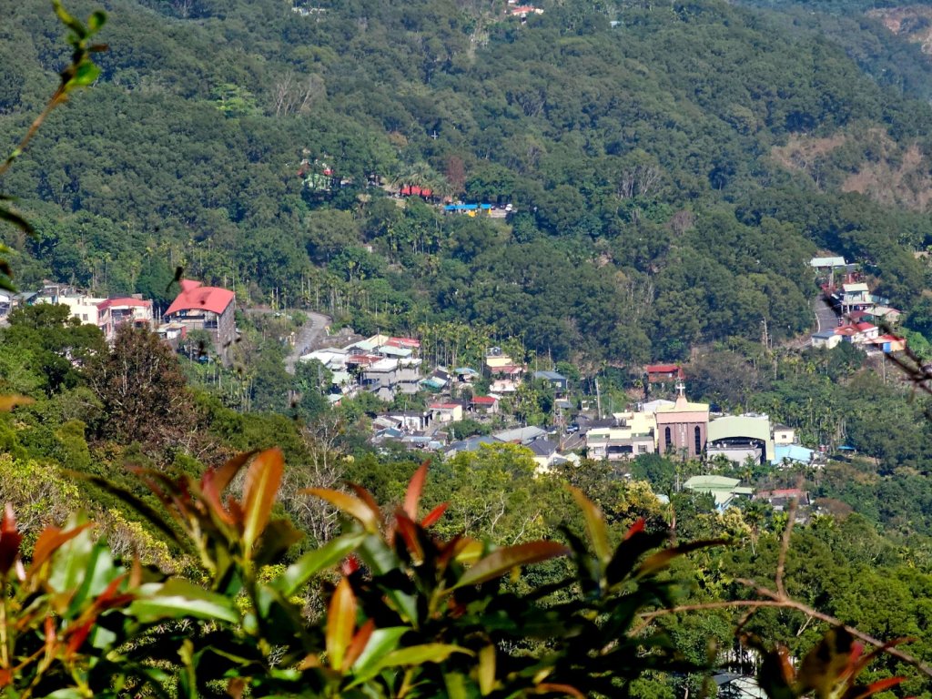 德文山步道(觀望山)-2024屏步青雲 尋寶任務_2681815
