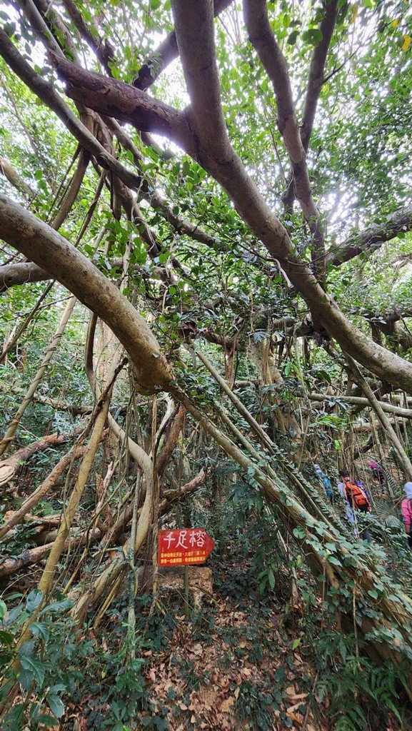 【恆春縱走】斯卡羅縱走_2769713