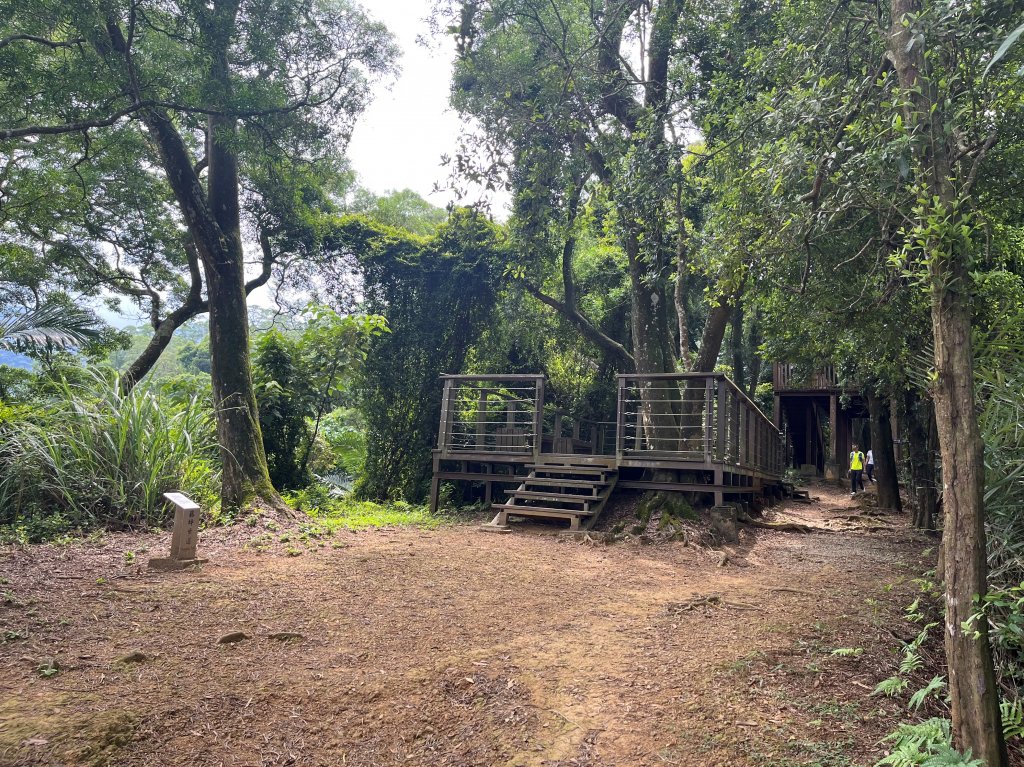 [森遊竹縣-01/10] 2023_0917_藤坪步道封面圖