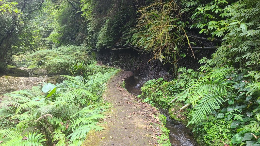 臺北士林-荷蘭古道_2208245
