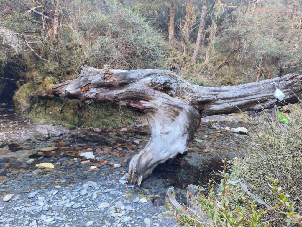 南二段七天10座百岳_2015419