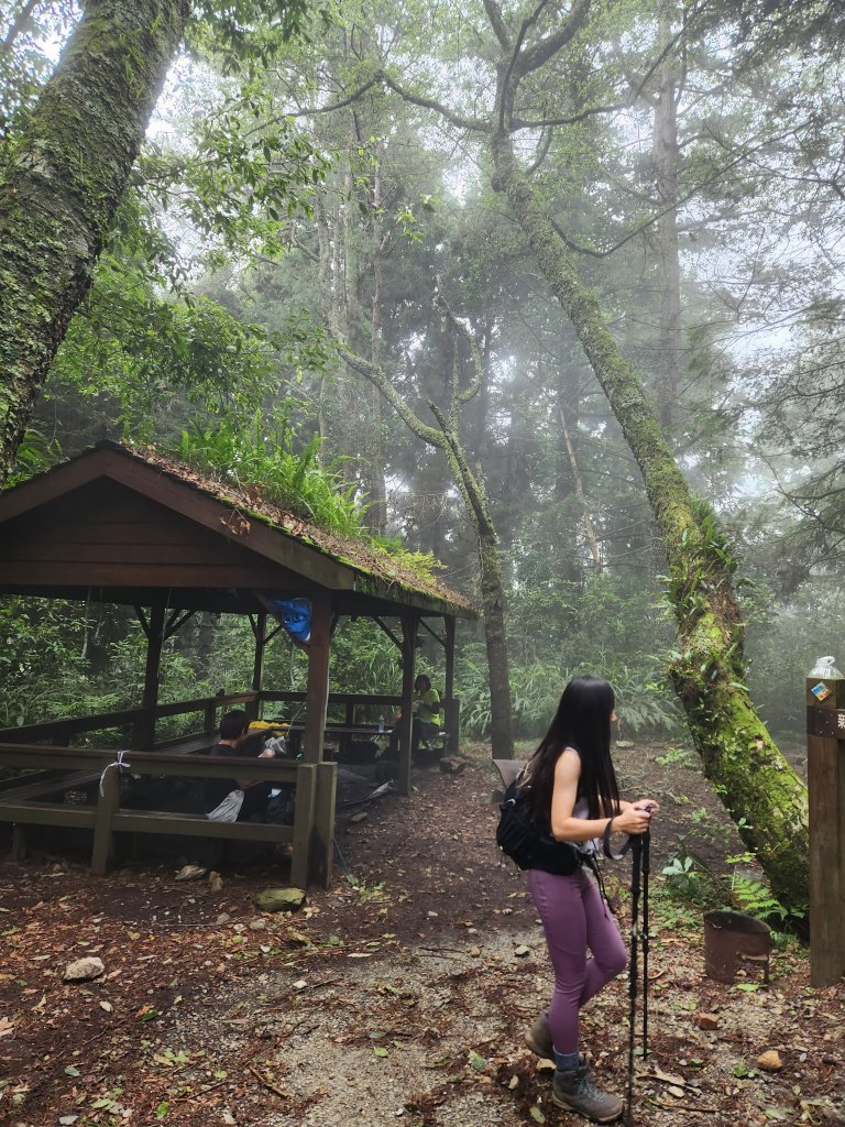 20230819 谷關七雄初登板-二哥馬崙山，白冷冰棒_2255692