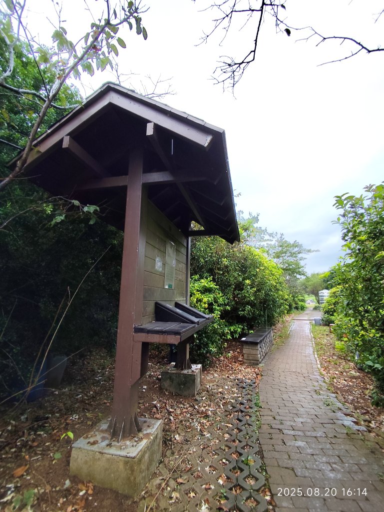 【臺北大縱走 1+2】2-2 大屯主峰-連峰步道→下青礐步道→貴子坑步道→忠義山步道→楓丹白露步道_2866970
