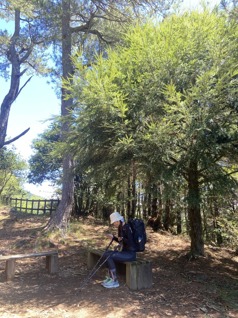 2024/8/30-31尋訪傳說中的鳥山~喀拉業_2587297