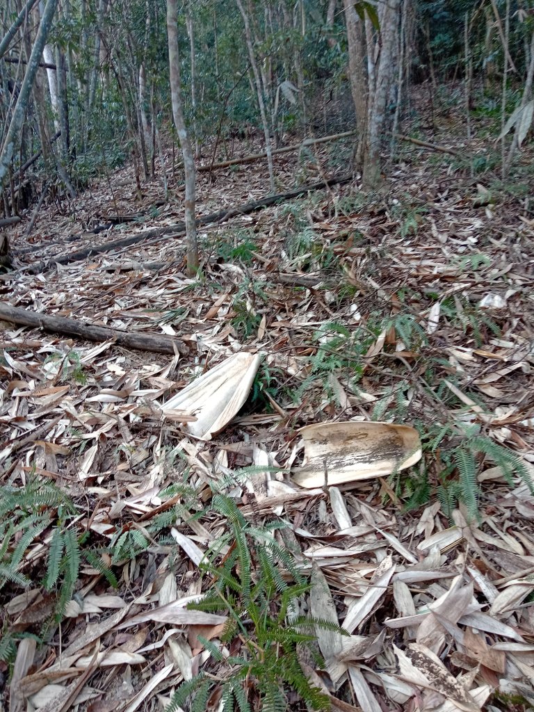 超冷...大橫屏山封面圖