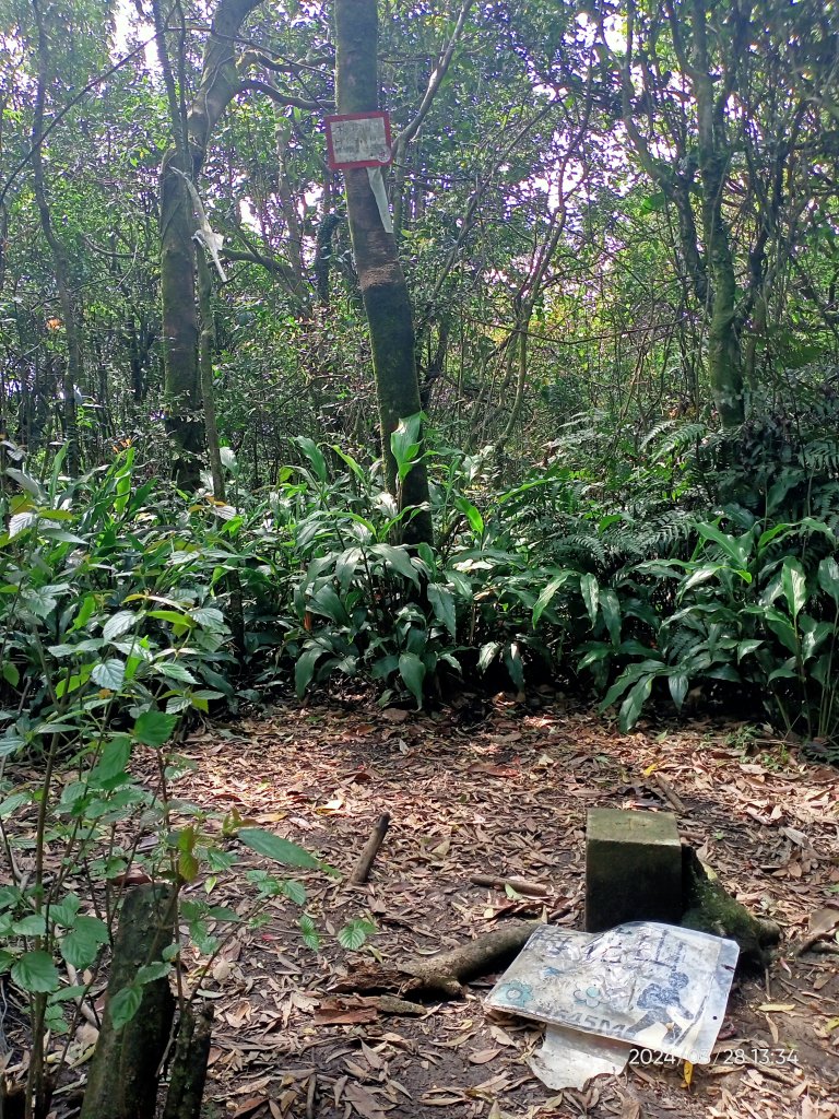 【臺北大縱走4】風櫃嘴→雙溪溝古道→五指山古道→大崙頭山北面步道→許願步道→圓覺寺步道→大溝溪→大湖_2469091