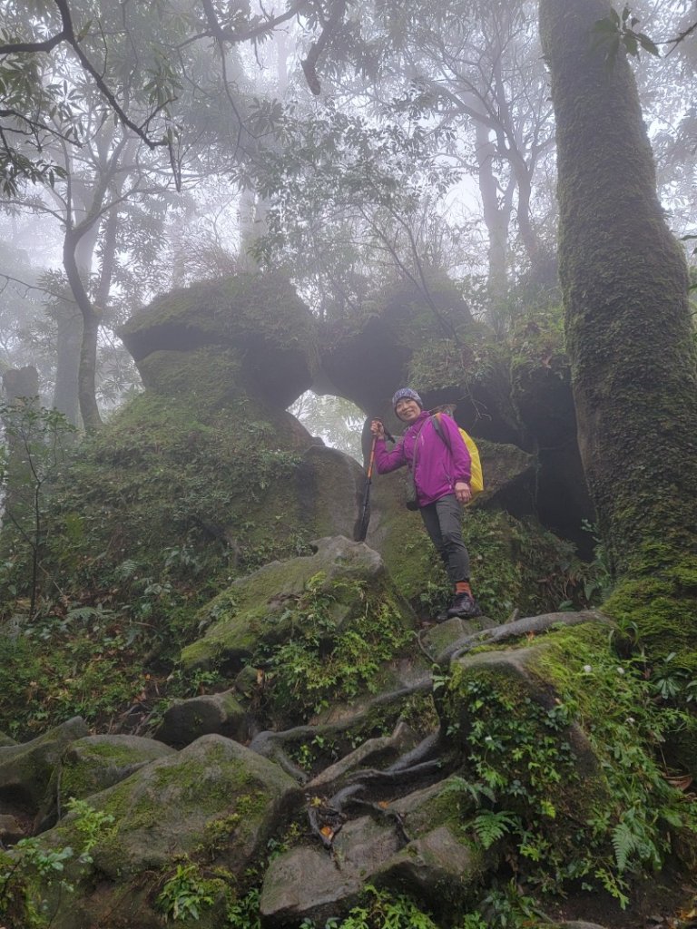 金露天宮-金露山-七星山南峰-恐龍接吻石-小油坑-20240310_2600468