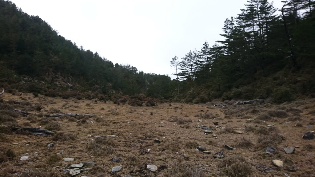 20250125 伊加之蕃-卑南東稜_2715195