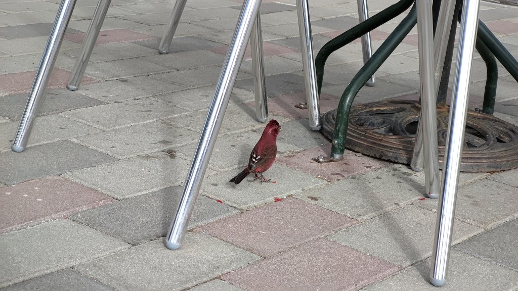 武法奈尾山_1946715