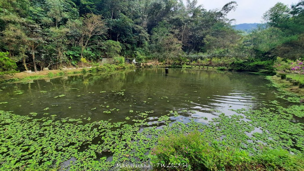 《南投》古道巡禮｜八通關古道社寮線蜈蚣崙段20251115_2937091