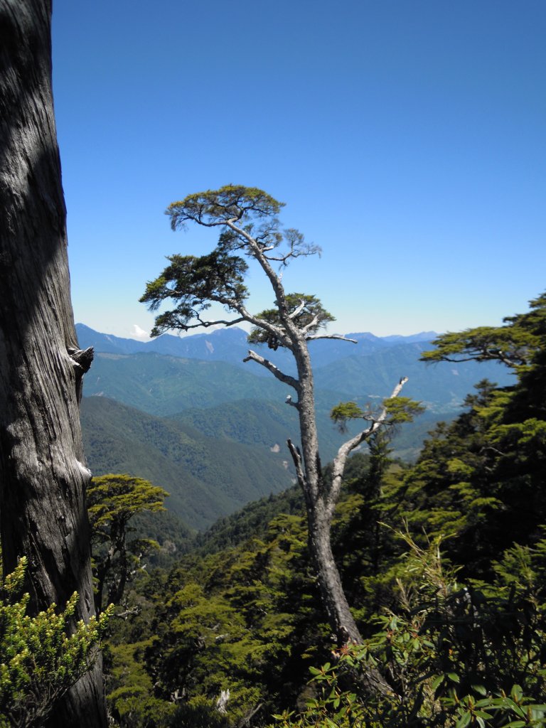 武陵四秀_桃山_喀拉業山_池有山_品田山20150514_1961290