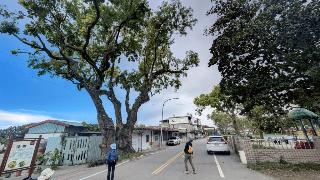 花蓮隨影_2667658